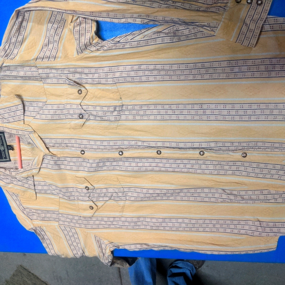 Vintage true grit western shirt